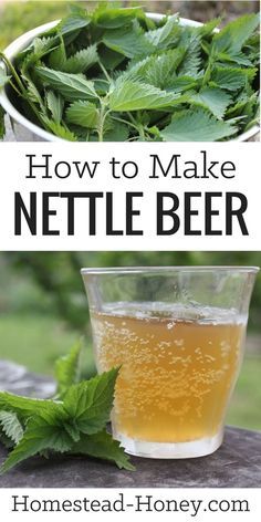 how to make nettle beer