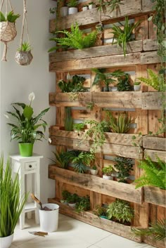 wooden pallets with plants on them are used as a wall decoration in the living room