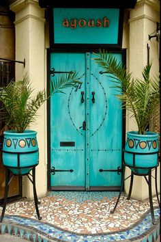 two potted plants sit in front of a turquoise door