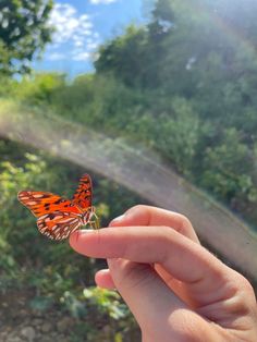 a person holding a butterfly in their hand