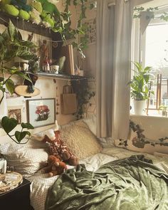 an unmade bed with plants and pictures on the wall next to it in front of a window