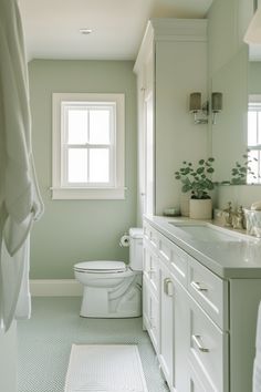 Soft Green Bathroom Ideas, White And Sage Green Bathroom, Sage Green Bathrooms, Green Bathroom Ideas Sage, Green Clawfoot Tub, Soft Green Paint Color, Sage Green Bathroom Ideas, Sherwin Williams Paint Colors Green, Seafoam Green Bathroom