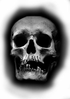 a black and white photo of a human skull