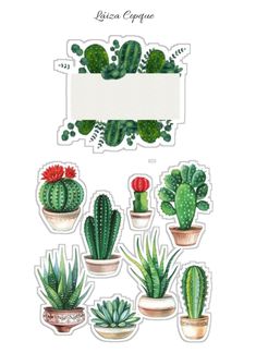 a bunch of cactus stickers sitting on top of each other