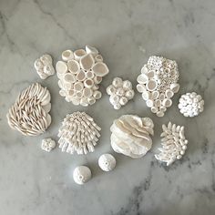 several different shapes and sizes of seashells on a marble surface