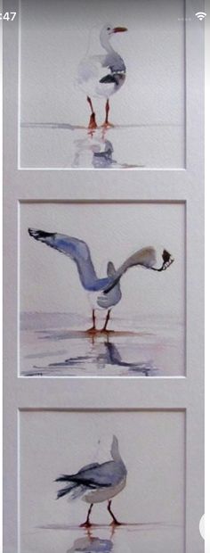 two watercolor paintings of seagulls flying over the ocean and reflecting in the water