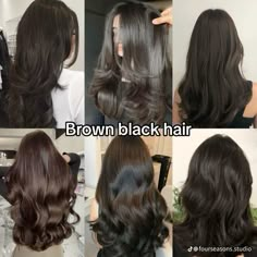 Brown Black Hair Color, Long Shiny Hair, Hair Tint, Best Haircuts