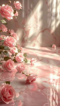 pink roses are floating in the air on a marble surface with sunlight streaming through them