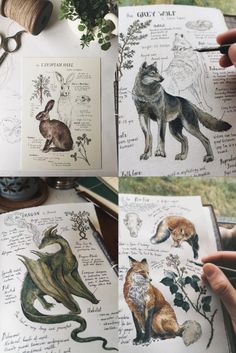 several pictures of different animals and plants on paper