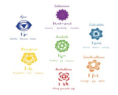 the seven chakras are shown in different colors