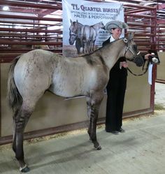 a man standing next to a brown horse