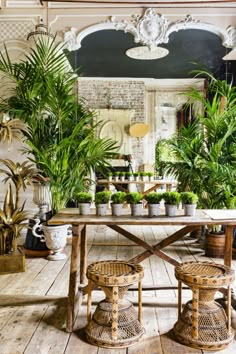 a room filled with lots of potted plants on top of wooden tables and chairs