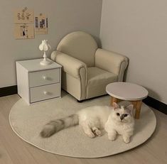 a white cat laying on top of a rug in a living room next to a chair