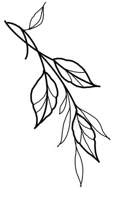 a black and white drawing of a branch with leaves