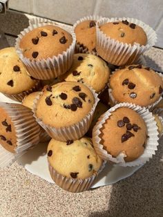 a bunch of muffins sitting on top of a white plate with chocolate chips