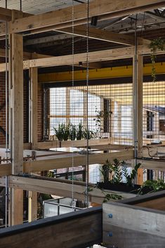 the inside of a building with plants hanging from it's ceiling and windows in the background