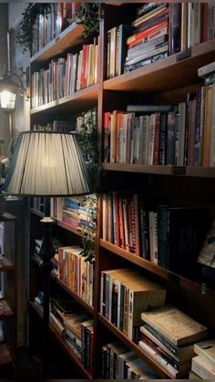 a lamp sitting on top of a wooden book shelf filled with lots of different books