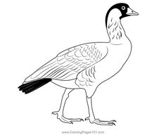 a black and white drawing of a duck standing on one leg with its head turned to the side