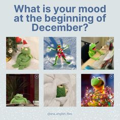 a poster with images of stuffed animals and the words what is your mood at the beginning of december?