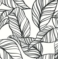 a black and white drawing of leaves