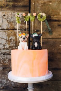 two small dogs sitting on top of a cake