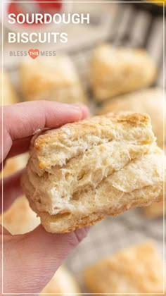 a hand holding a biscuit in front of some biscuits