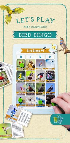 Beige background with images of birds, cards with birds and descriptions, and bird Bingo and the words: "Let's Play Bird Bingo - Free Download" at the top. Bird Bingo, Homeschool Materials, The Good And The Beautiful, Science Unit Studies, Bingo For Kids, Types Of Birds, Free Homeschool Curriculum, Game For Children, Free Bird