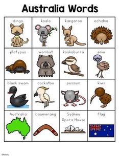 an australian word board with pictures of animals and other things to see in the picture