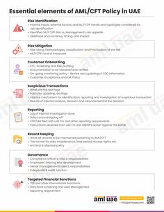 Elements of effective AML Policies and Procedures Edith Stein, Onboarding Process, Money Laundering, Promo Codes, Case Study, Coding