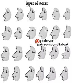 different types of nose shapes and their meanings