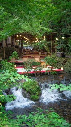 a river flowing through a lush green forest filled with lots of trees and lights hanging from the ceiling