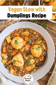 vegan stew with dumplings in a white bowl