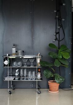 a potted plant sitting on top of a metal shelf next to a bar cart