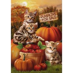 two kittens are sitting in front of pumpkins with a sign that says pumpkins for sale