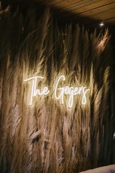 the sign is lit up in front of a wall covered with long, furry feathers