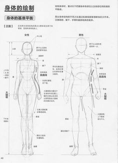 an outline drawing of a man's body and torso, with chinese characters in the background