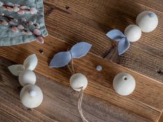 some sea shells are laying on a wooden table