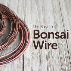 the basics of bonsai wire on a wooden table with text overlay that says bonsai wire