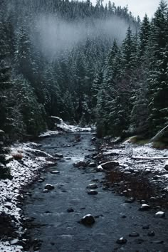 a river running through a forest filled with snow covered evergreen trees and rocks in the foreground