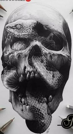 a pencil drawing of a skull with a snake on it's face and head