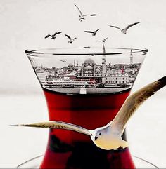 a bird flying over a red vase filled with liquid