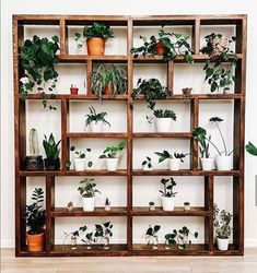 a wooden shelf filled with potted plants on top of a hard wood floor next to a white wall