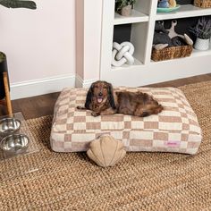 a dog laying on top of a brown and white checkerboard bed in front of a book shelf