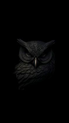 an owl in the dark with its eyes open