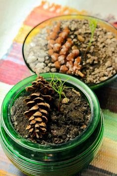 two green glass bowls filled with dirt and pine cone planters on top of a colorful table cloth