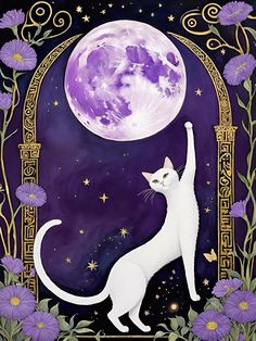 a white cat standing on its hind legs in front of a full moon and purple flowers