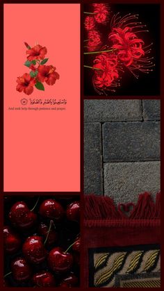 red flowers and fruit are arranged on the same page