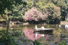 two people in a small boat on a lake surrounded by trees and bushes with pink flowers