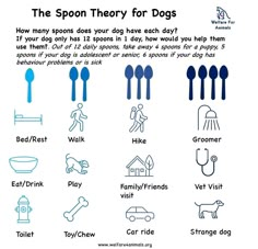 an image of the different types of dogs