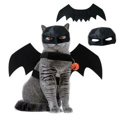 a cat wearing a batman mask and bat costume